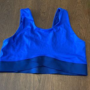 Ivy Park Sports Bra
